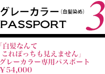 pass_03.gif